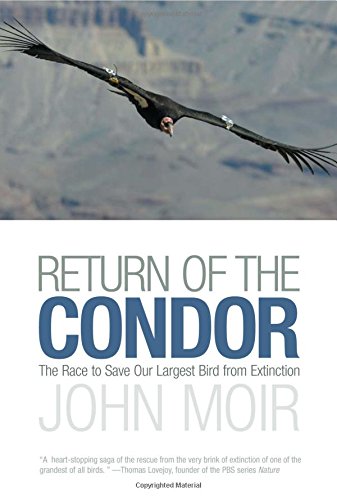 Return of the Condor: The Race to Save Our Largest Bird from Extinction Return of the Condor: The Race to Save Our Largest Bird from Extinction von LYONS PR