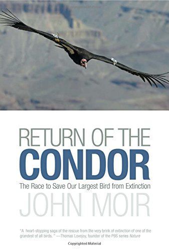 Return of the Condor: The Race to Save Our Largest Bird from Extinction