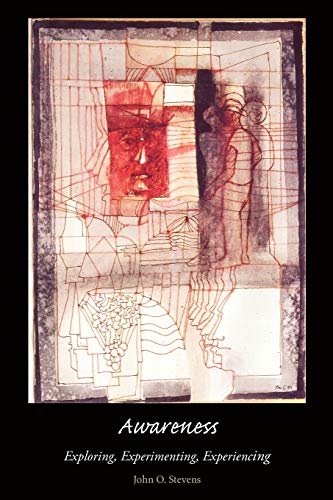 Awareness: Exploring, Experimenting, Experiencing von Gestalt Journal Press