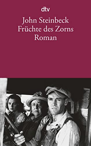 Früchte des Zorns: Roman von dtv Verlagsgesellschaft