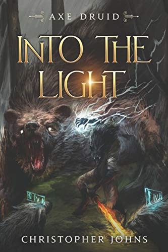 Into the Light: An Epic LitRPG Series (Axe Druid, Band 1) von Mountaindale Press
