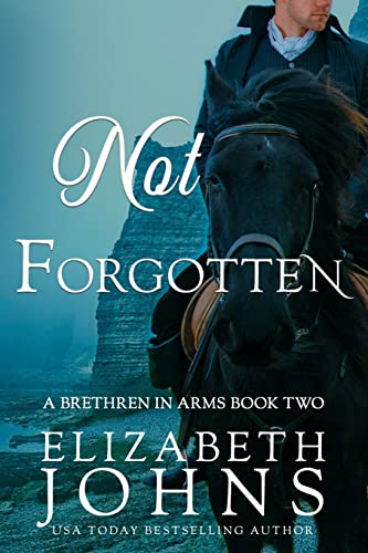 Not Forgotten (Brethren in Arms, Band 2)