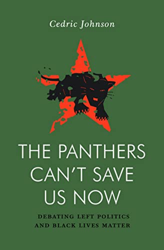 The Panthers Can't Save Us Now: Debating Left Politics and Black Lives Matter (Jacobin) von Verso Books