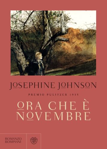 Ora che è novembre (Narratori stranieri)