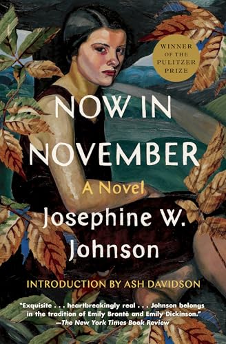 Now in November: A Novel von Scribner