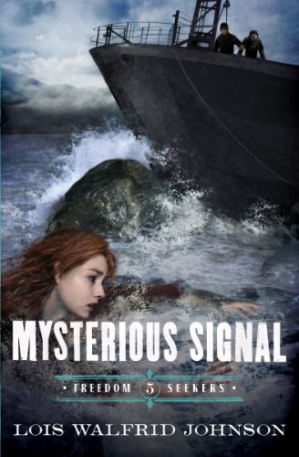 Mysterious Signal: Volume 5 (Freedom Seekers, Band 5)