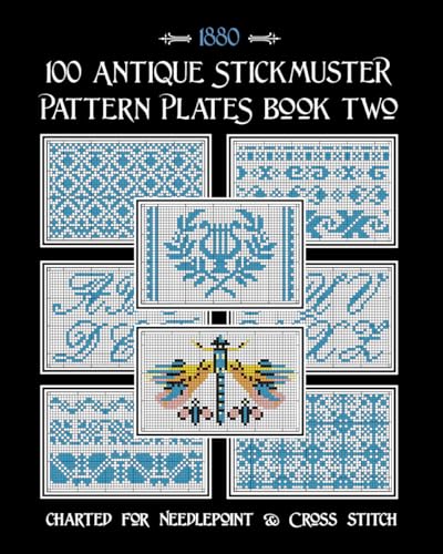100 Antique Stickmuster Pattern Plates: Book 2 von Independently published