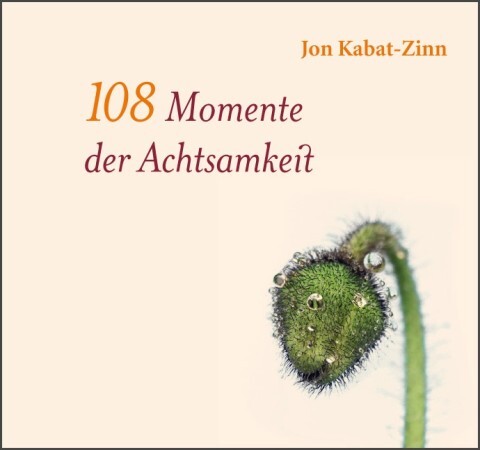 108 Momente der Achtsamkeit von Arbor Verlag