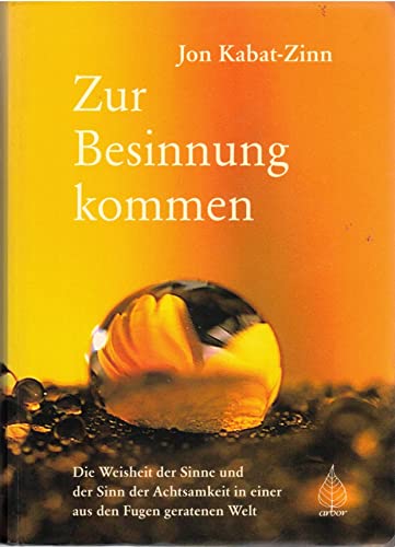 Zur Besinnung kommen: Die Weisheit der Sinne und der Sinn der Achtsamkeit in einer aus den Fugen geratenen Welt