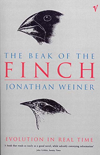 The Beak Of The Finch von Vintage