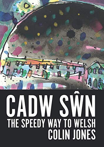 Cadw Swn: The Speedy Way to Learn Welsh