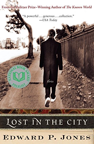 Lost in the City: Stories von Amistad