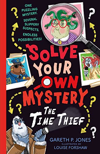 Solve Your Own Mystery: The Time Thief von Stripes Publishing