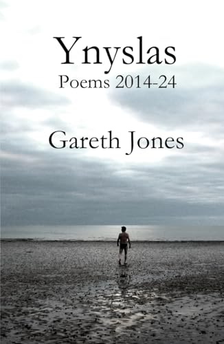 Ynyslas: Poems 2014-24 von Independently published