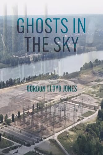 Ghost in the Sky von Palmetto Publishing