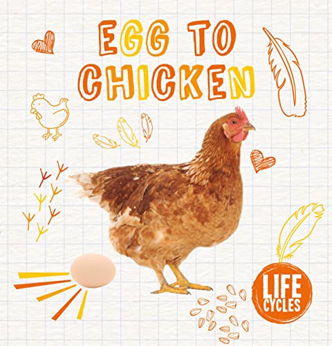 Egg To Chicken (Life Cycles) von Booklife Publishing