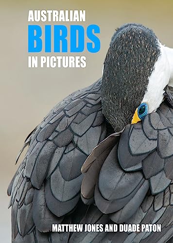Australian Birds in Pictures: Compact edition von Reed New Holland