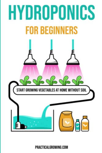 Hydroponics for Beginners: Start Growing Vegetables at Home Without Soil von Independently published
