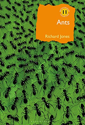 Ants: The ultimate social insects (British Wildlife Collection) von Bloomsbury Wildlife