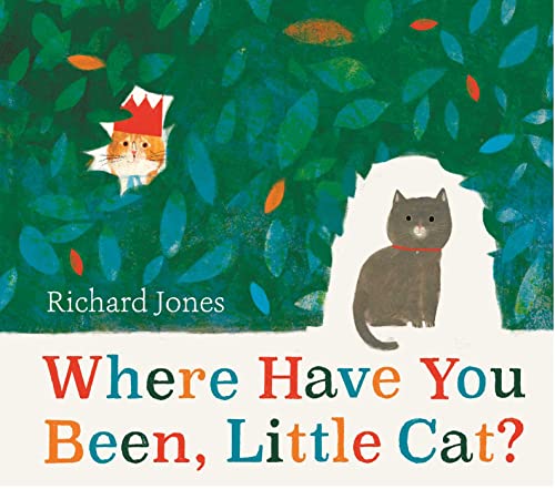 Where Have You Been, Little Cat?: A Sunday Times Children's Book of the Week von Simon + Schuster UK