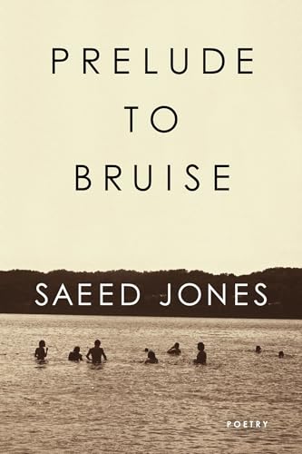 Prelude to Bruise Prelude to Bruise von Coffee House Press