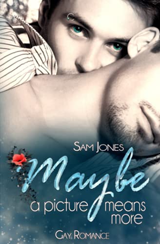 Maybe a picture means more (Maybe - Reihe)