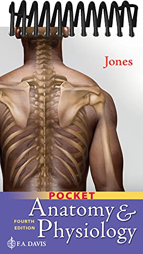 Anatomy & Physiology von F. A. Davis Company