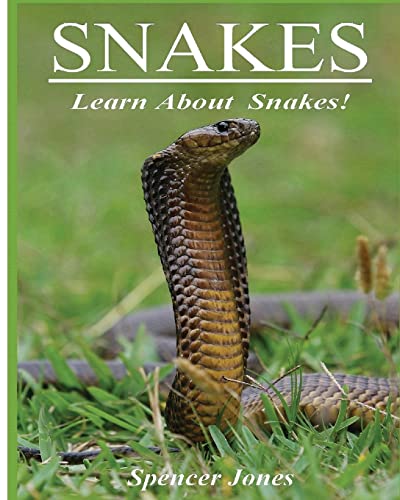 Snakes: Fun Facts & Amazing Pictures - Learn About Snakes (Amazing Nature Childrens Books, Band 2) von CREATESPACE