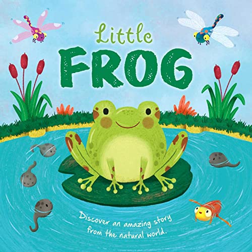 Little Frog von Igloo Books