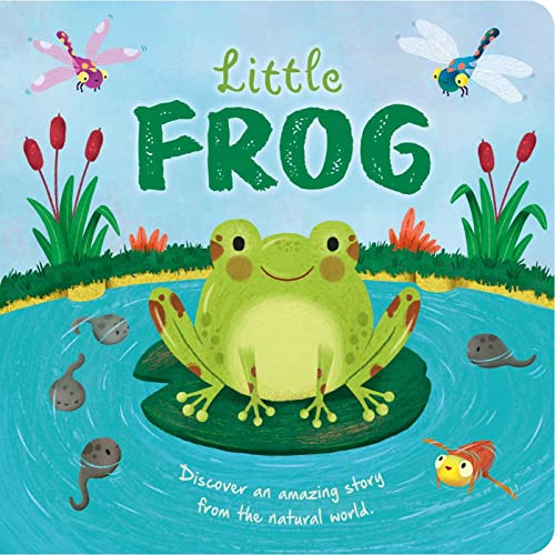 Little Frog: Padded Board Book (Nature Stories) von Igloo Books