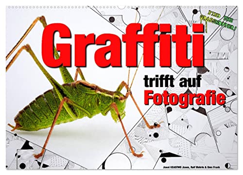 Graffiti trifft auf Fotografie (Wandkalender 2025 DIN A2 quer), CALVENDO Monatskalender von CALVENDO