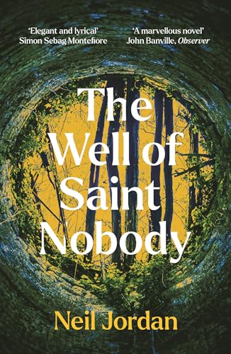 The Well of Saint Nobody von Head of Zeus Ltd.