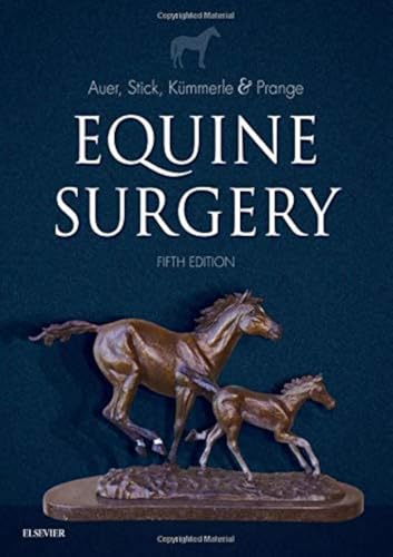 Equine Surgery von Saunders