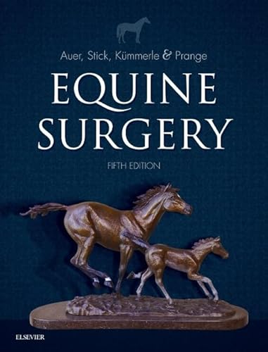 Equine Surgery