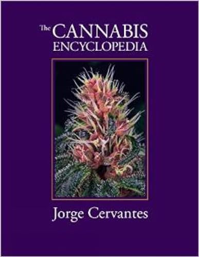 The Cannabis Encyclopedia: The Definitive Guide to Cultivation & Consumption of Medical Marijuana von Van Patten Publishing