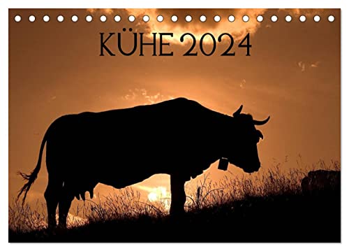 Kühe 2024 (Tischkalender 2024 DIN A5 quer), CALVENDO Monatskalender