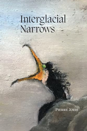Interglacial Narrows von Contra Mundum Press