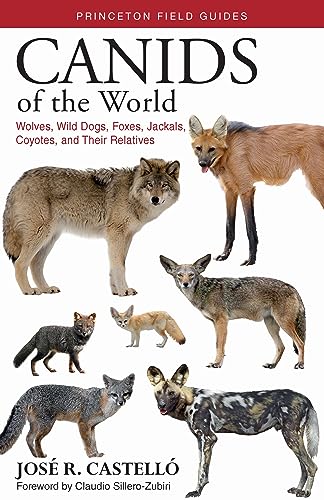 Canids of the World: Wolves, Wild Dogs, Foxes, Jackals, Coyotes, and Their Relatives (Princeton Field Guides) von Princeton University Press