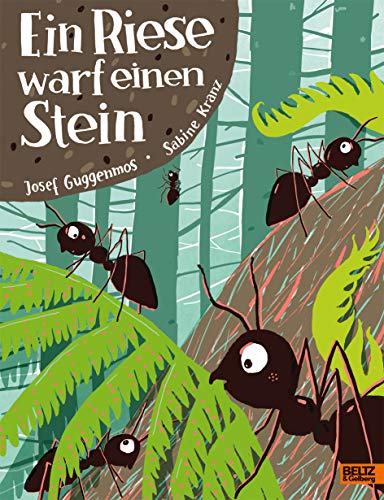 Ein Riese warf einen Stein: Vierfarbiges Bilderbuch