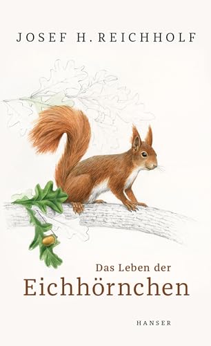 Das Leben der Eichhörnchen von Hanser, Carl GmbH + Co.