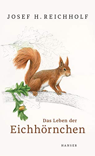 Das Leben der Eichhörnchen von HANSER FACHBUCHVERLAG