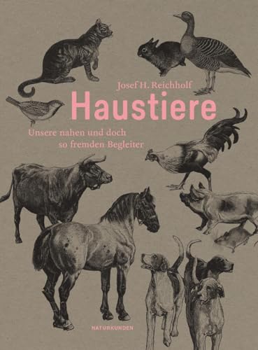 Haustiere: Unsere nahen und doch so fremden Begleiter (Naturkunden) von Matthes & Seitz Verlag