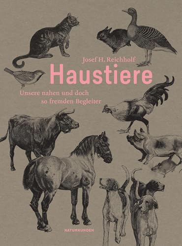 Haustiere: Unsere nahen und doch so fremden Begleiter (Naturkunden)