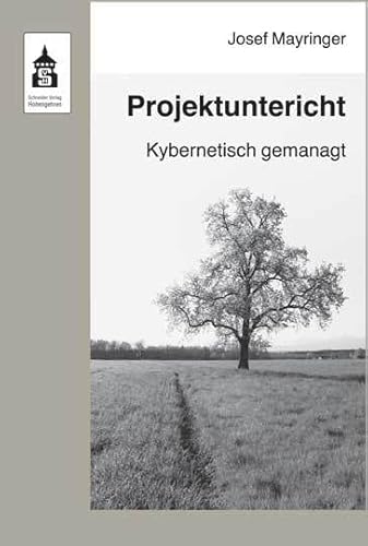 Projektunterricht: Kybernetisch gemanagt von Schneider Hohengehren