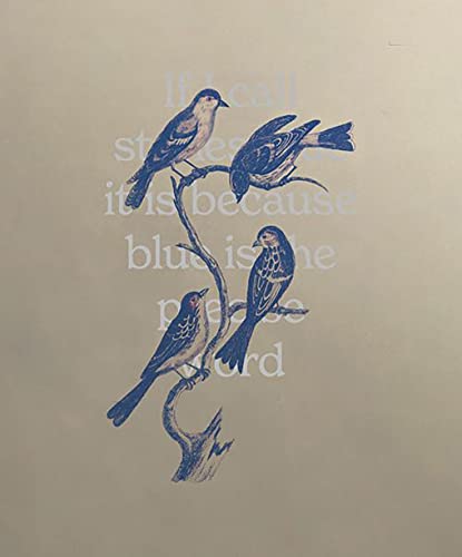 ‘If I call stones blue it is because blue is the precise word’