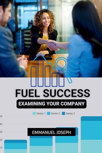 Examining Your Company to Fuel Success von Emmanuel Joseph