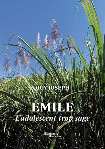 Émile: L'adolescent trop sage von Baudelaire