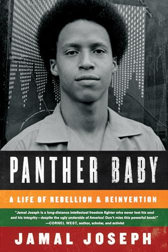 Panther Baby: A Life of Rebellion and Reinvention von Algonquin Books