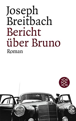 Bericht über Bruno: Roman