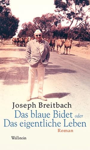 Das blaue Bidet oder Das eigentliche Leben: Roman (Mainzer Reihe. Neue Folge) von Wallstein Verlag